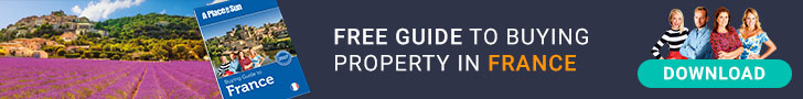 Free French property buying guide