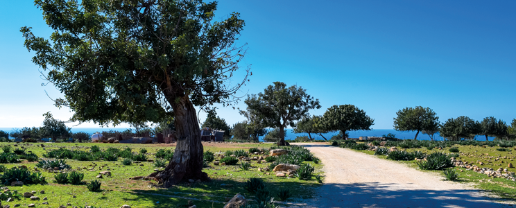 Cyprus track and beach