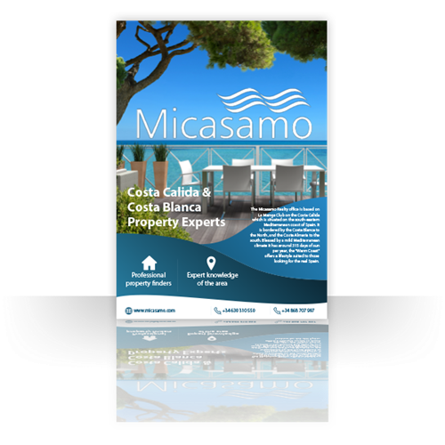 Micasamo Realty Brochure