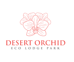 Orchid Marketing - Desert Orchid